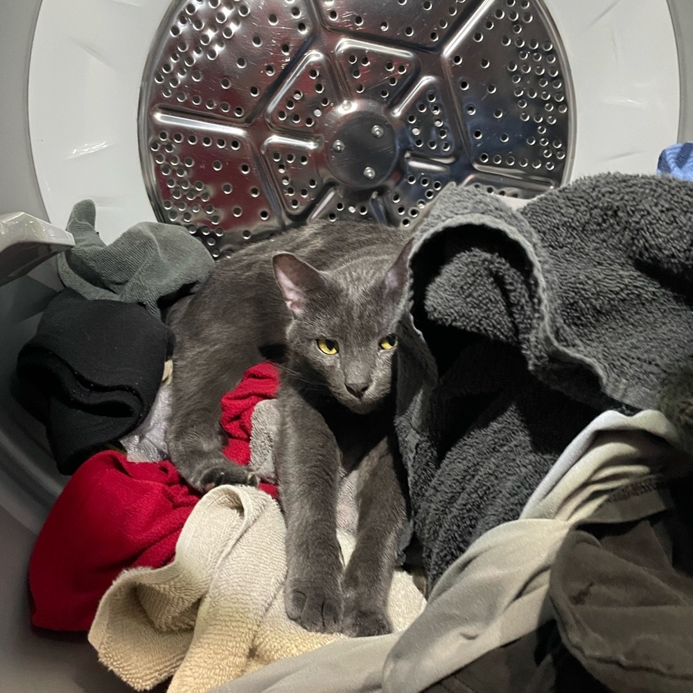 Meet your Posher, Aspen